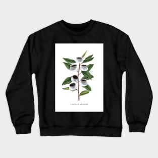 Botanical Coffee Poster, Coffee, Funny Humour, art for Coffee Shop or Kitchen Crewneck Sweatshirt